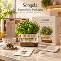Sorqela™ RootView Glass Herb Garden