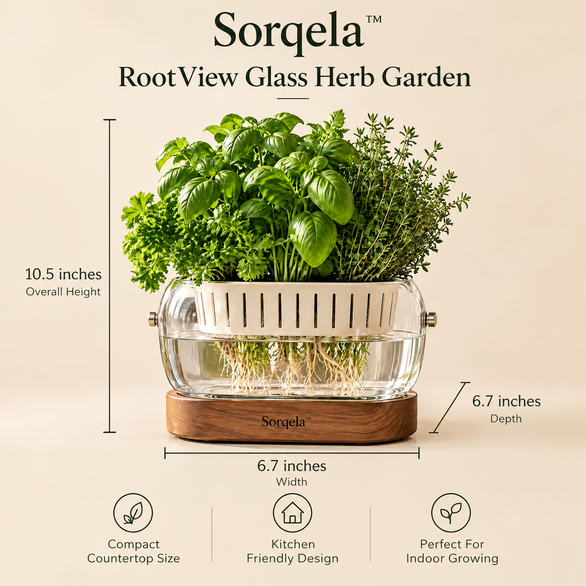 Sorqela™ RootView Glass Herb Garden